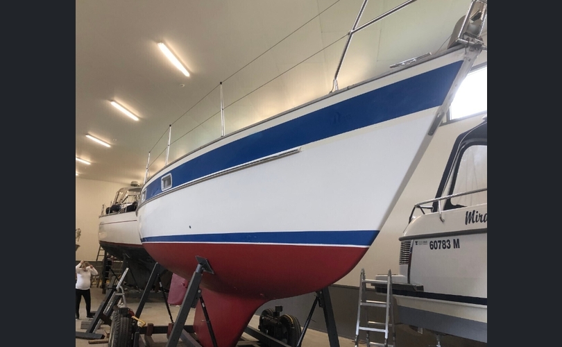 Hallberg-Rassy 312-kuva-4